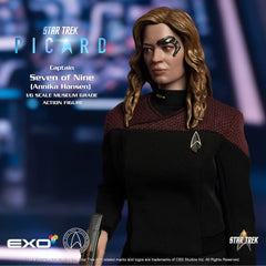 Star Trek: Picard Action Figure 1/6 Captain Seven of Nine 29 cm 0787480716156