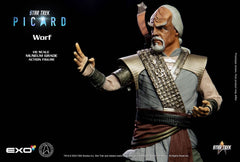 Star Trek: Picard Action Figure 1/6 Worf 30 cm 0787480715944