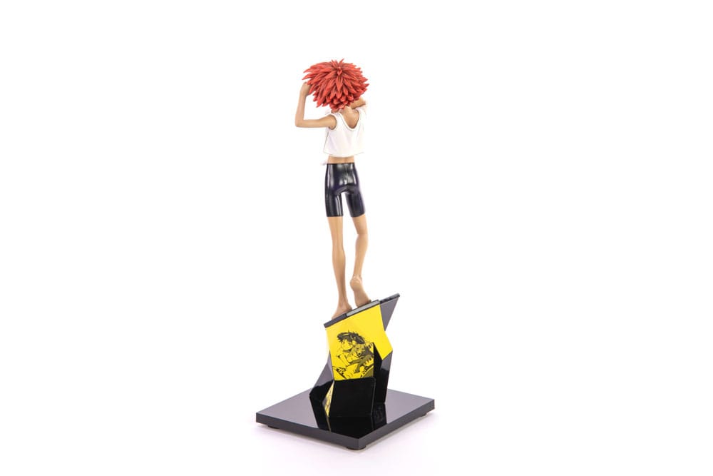 Cowboy Bebop Statue 1/8 Ed & Ein 28 cm 5060316627617