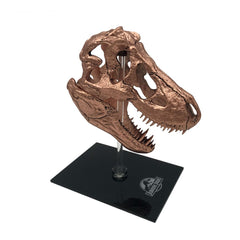 Jurassic Park Scaled Prop Replica T-Rex Skull 10 cm 5060224089026
