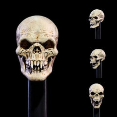 Mythic Legions: All Stars 6 Action Figure Accessorys Undead Heads Pack 0658580362669