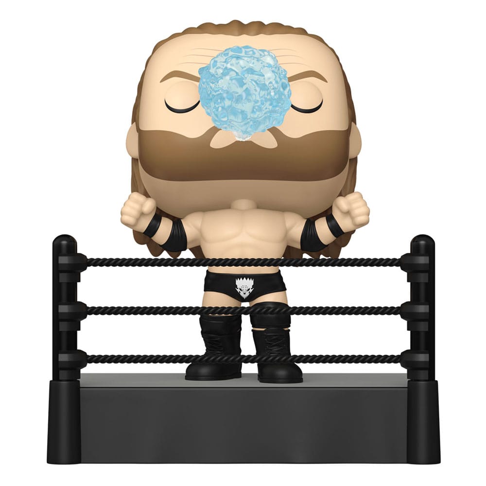 WWE POP! Premium Vinyl Figure Triple H (Ring Entrance) 9 cm 0889698863957