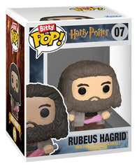 Harry Potter Bitty POP! Vinyl Figure 2-Pack Hagrid & Dobby 2 cm 0889698947824