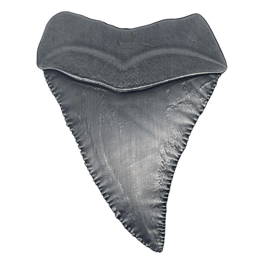 Jaws Medallion 50th Anniversary Shark Tooth 5060948297356