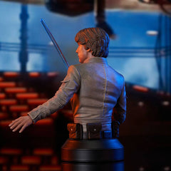 Star Wars Episode V Bust 1/6 Luke Skywalker 15 cm 0699788841976