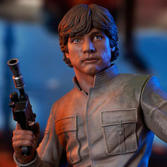 Star Wars Episode V Bust 1/6 Luke Skywalker 15 cm 0699788841976