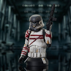 Star Wars: Ahsoka Bust 1/6 Night Trooper 15 cm 0699788852460