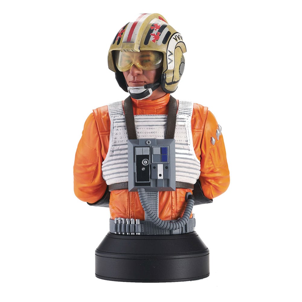 Star Wars Episode IV Bust 1/6 Red Leader 15 cm 0699788843567