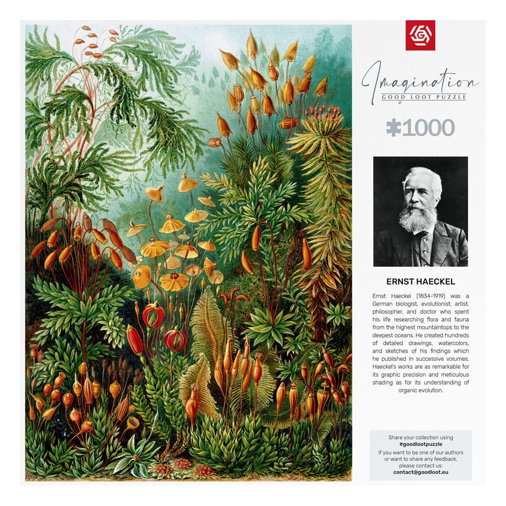 Ernst Haeckel Imagination Puzzle Muscinae (1000 pieces) 5908305239642