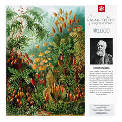 Ernst Haeckel Imagination Puzzle Muscinae (1000 pieces) 5908305239642