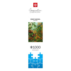 Ernst Haeckel Imagination Puzzle Muscinae (1000 pieces) 5908305239642