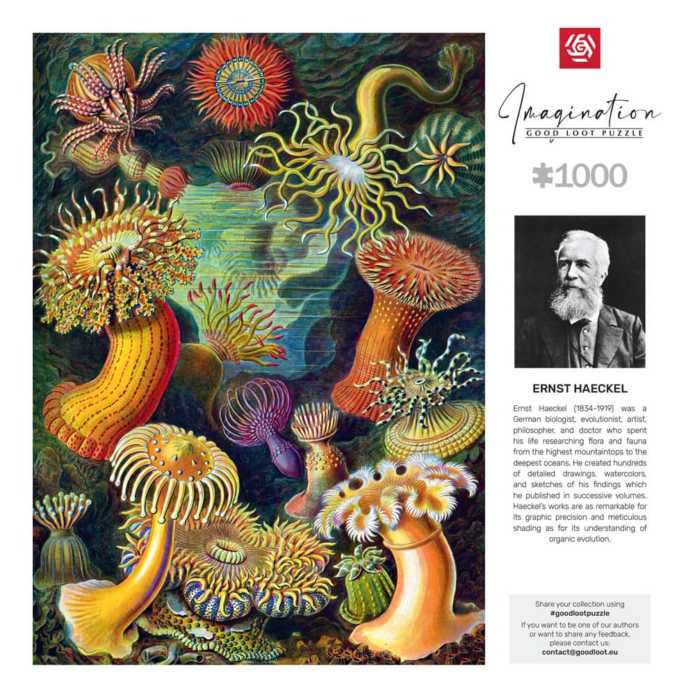 Ernst Haeckel Imagination Puzzle Sea Anemones/Stworzenia morskie (1000 pieces) 5908305244943