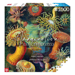 Ernst Haeckel Imagination Puzzle Sea Anemones/Stworzenia morskie (1000 pieces) 5908305244943