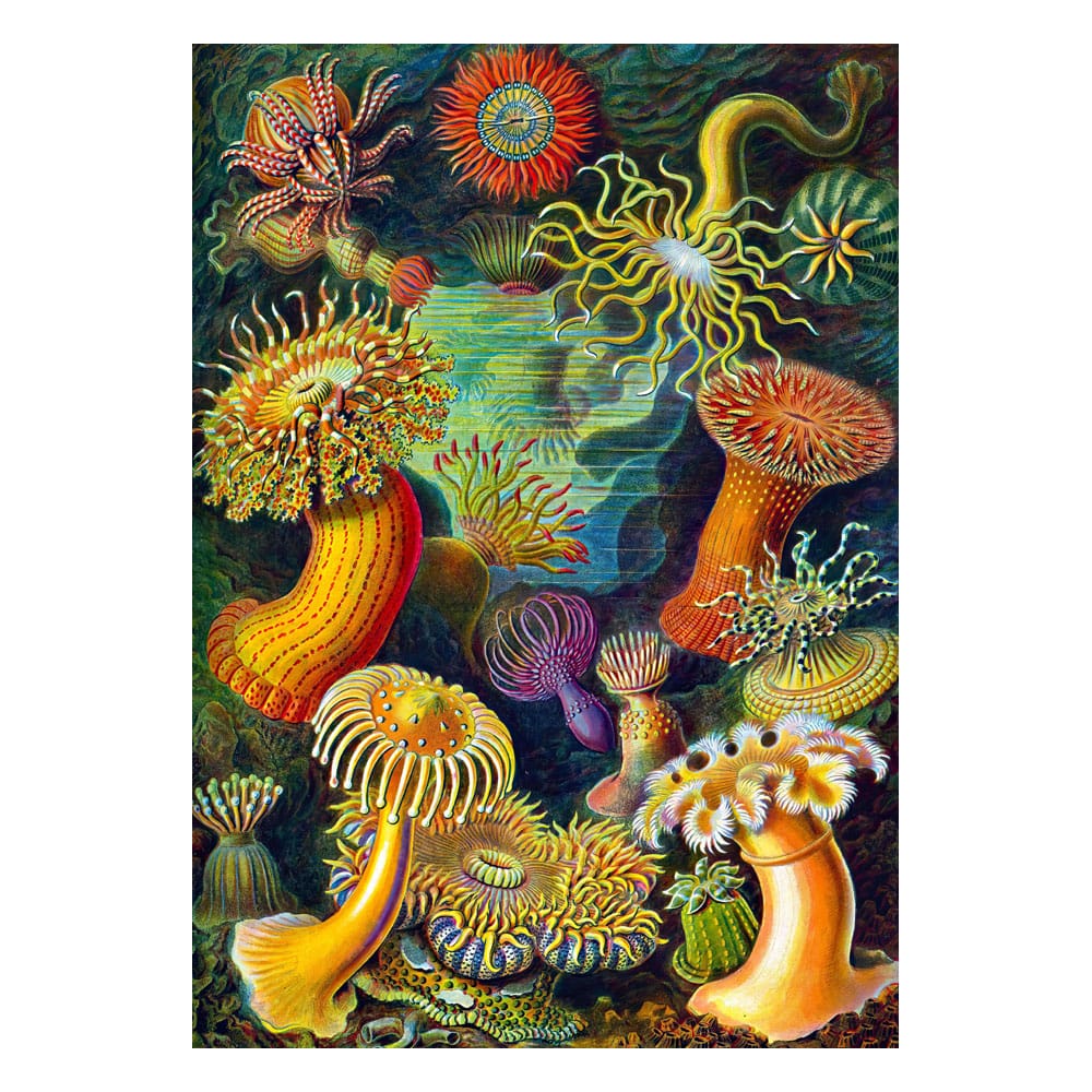 Ernst Haeckel Imagination Puzzle Sea Anemones/Stworzenia morskie (1000 pieces) 5908305244943