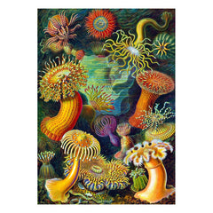 Ernst Haeckel Imagination Puzzle Sea Anemones/Stworzenia morskie (1000 pieces) 5908305244943