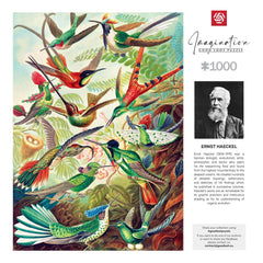 Ernst Haeckel Imagination Puzzle Hummingbirds/Kolibry (1000 pieces) 5908305246794