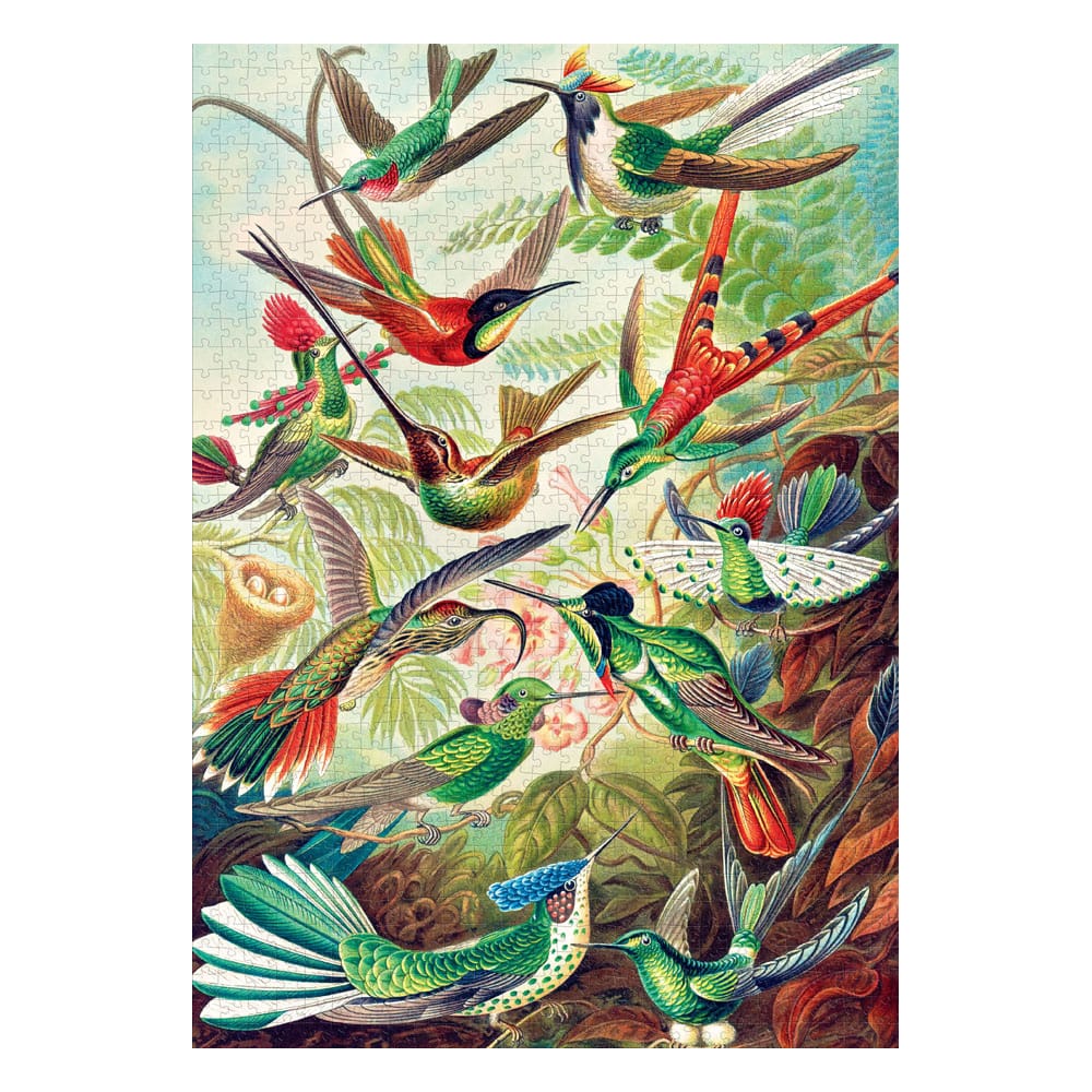 Ernst Haeckel Imagination Puzzle Hummingbirds/Kolibry (1000 pieces) 5908305246794