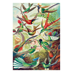Ernst Haeckel Imagination Puzzle Hummingbirds/Kolibry (1000 pieces) 5908305246794