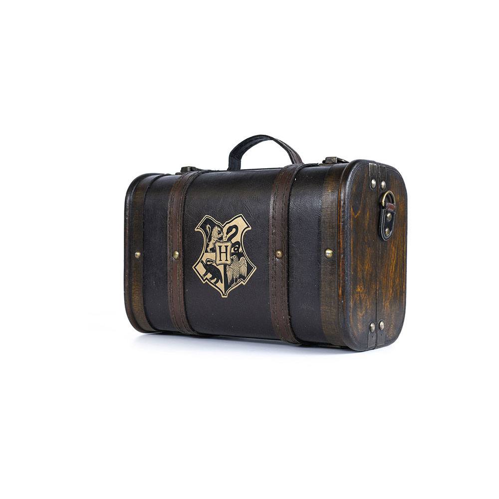 Harry Potter Gift Set Trouble Finds Me 5063457055479