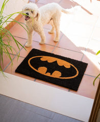 DC Comics Doormat Batman Logo 60 x 40 cm 8435497228149