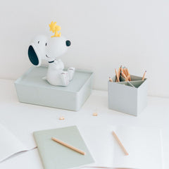 Peanuts Lamp with USB-C Snoopy 8435497293802