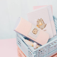 Pusheen Glasses Case 8435497297411