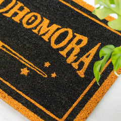 Harry Potter Doormat Alohomora 60 x 40 cm 8435497297428