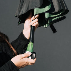 Mary Poppins Umbrella Premium 8435747802129