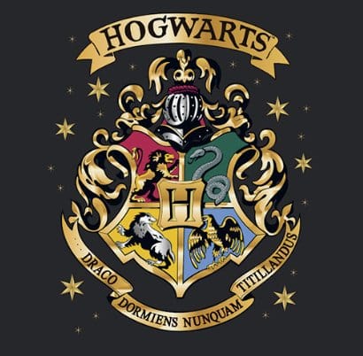 Harry Potter Premium Mug Hogwarts 444 ml 8435747803935