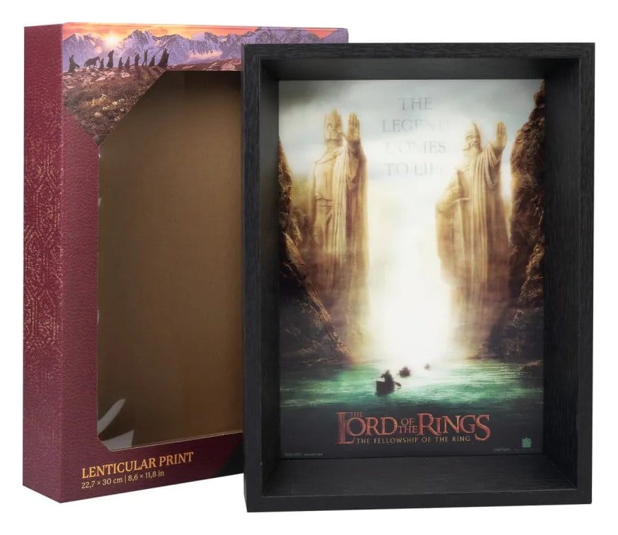 The Lord of the Rings Framed Print 8435747804604
