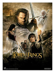 The Lord of the Rings Poster 38 x 52 cm Set of 2 8435747808459
