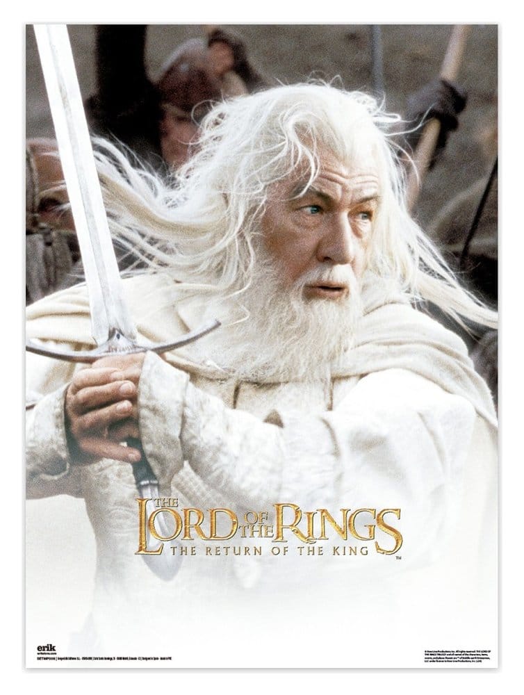 The Lord of the Rings Poster 38 x 52 cm Set of 2 8435747808459