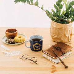 Harry Potter Premium Mug Chocolate Frog  375 ml 8435747826125
