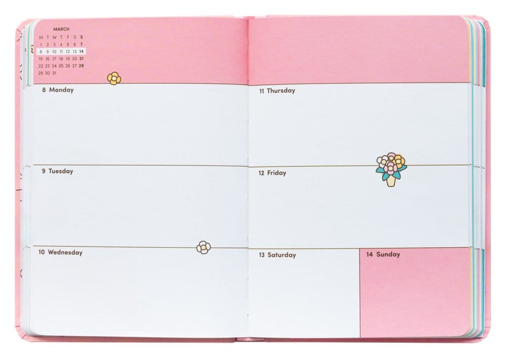 Pusheen Academic Planner Tropical Vacation 2026/27 A6 *English Version* 8435747829881