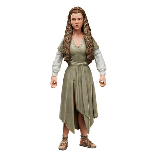 Star Wars Episode VI Black Series Action Figure 2022 Princess Leia (Ewok Village) 15 cm 5010993993710