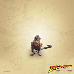 Indiana Jones Adventure Series Action Figure Indiana Jones (Cairo) (Raiders of the Lost Ark) 15 cm 5010996176639