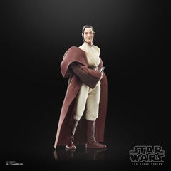 Star Wars: The Acolyte Black Series Action Figure Jedi Master Indara 15 cm 5010996269522