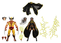 Marvel Legends Action Figure 2-Pack Storm & Wolverine 15 cm 5010996324894