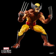 Marvel Legends Action Figure 2-Pack Storm & Wolverine 15 cm 5010996324894