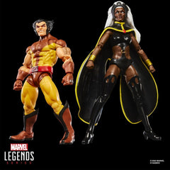 Marvel Legends Action Figure 2-Pack Storm & Wolverine 15 cm 5010996324894