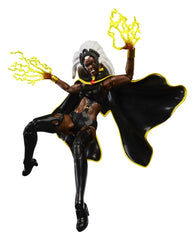Marvel Legends Action Figure 2-Pack Storm & Wolverine 15 cm 5010996324894