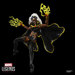 Marvel Legends Action Figure 2-Pack Storm & Wolverine 15 cm 5010996324894