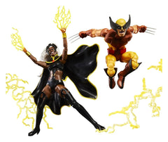 Marvel Legends Action Figure 2-Pack Storm & Wolverine 15 cm 5010996324894