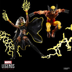 Marvel Legends Action Figure 2-Pack Storm & Wolverine 15 cm 5010996324894