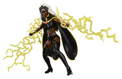 Marvel Legends Action Figure 2-Pack Storm & Wolverine 15 cm 5010996324894