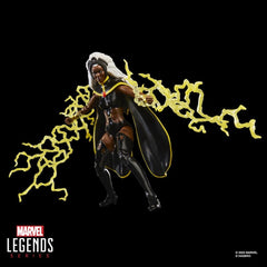Marvel Legends Action Figure 2-Pack Storm & Wolverine 15 cm 5010996324894