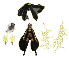 Marvel Legends Action Figure 2-Pack Storm & Wolverine 15 cm 5010996324894