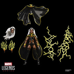 Marvel Legends Action Figure 2-Pack Storm & Wolverine 15 cm 5010996324894