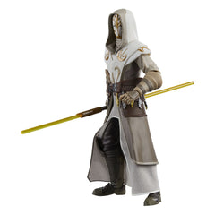 Star Wars: The Clone Wars Black Series Action Figure Jedi Temple Guard 15 cm 5010996313065