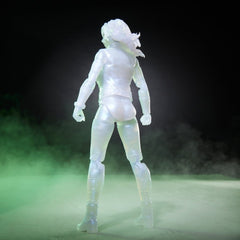 Avengers: Doomsday Marvel Legends Action Figure 2-Pack Marvel's Invisible Woman & Human Torch 15 cm 5010996428431